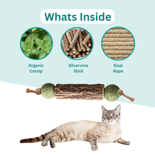 MEEPCATS™ Natural Matatabi Dental Sticks