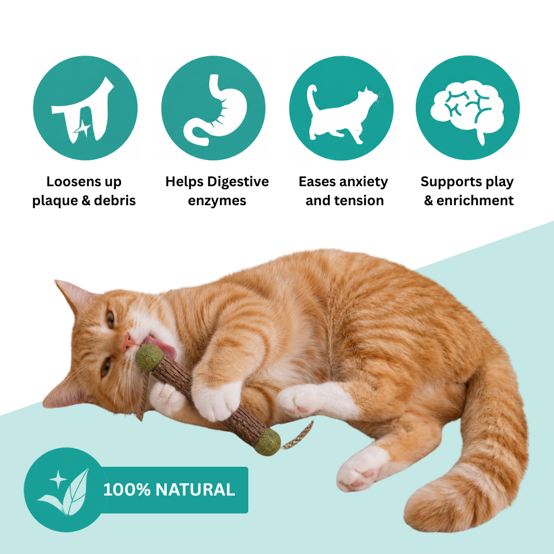 MEEPCATS™ Natural Matatabi Dental Sticks