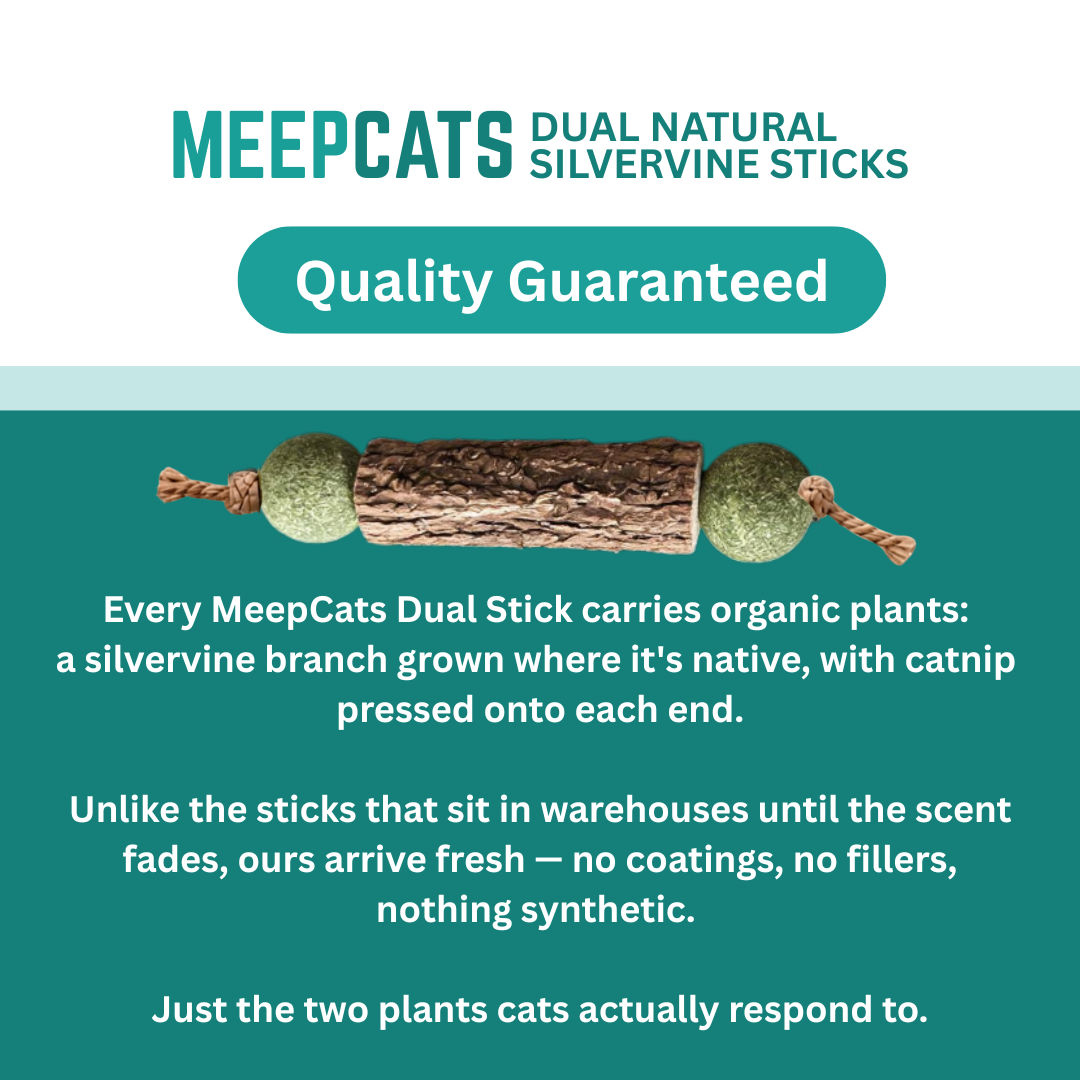 MEEPCATS™ Natural Matatabi Dental Sticks