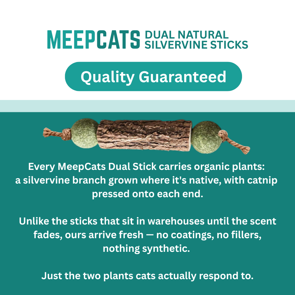 MEEPCATS™ Natural Matatabi Dental Sticks