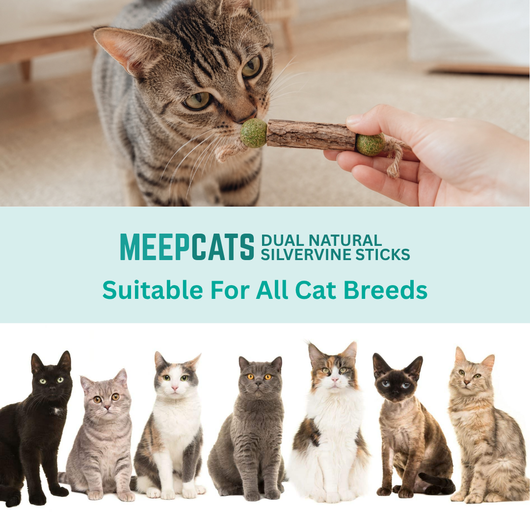 MEEPCATS™ Natural Matatabi Dental Sticks